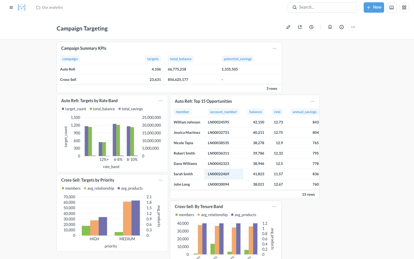 Campaign Targeting dashboard — auto refi, cross-sell, delinquency outreach targets