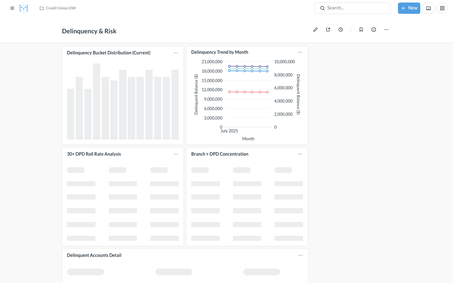 Delinquency and Risk dashboard — DPD bucket migration, roll rate matrix, branch charge-off
