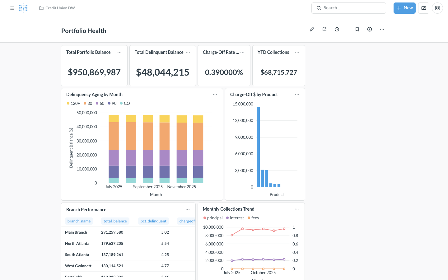 Portfolio Health dashboard — total balance, delinquency aging, charge-off by product, branch performance table